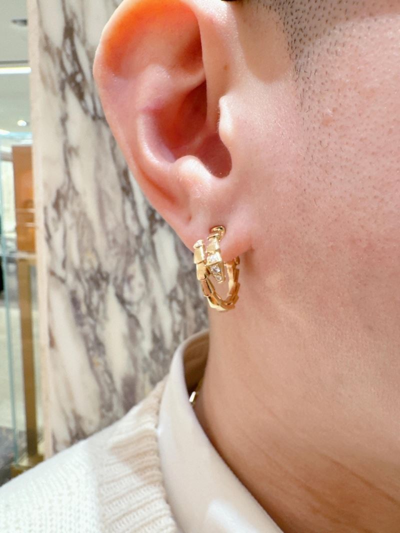 chr1st1an D10r earrings